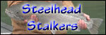 Stealhead Stalkers